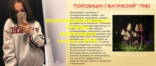 дживик Бикин