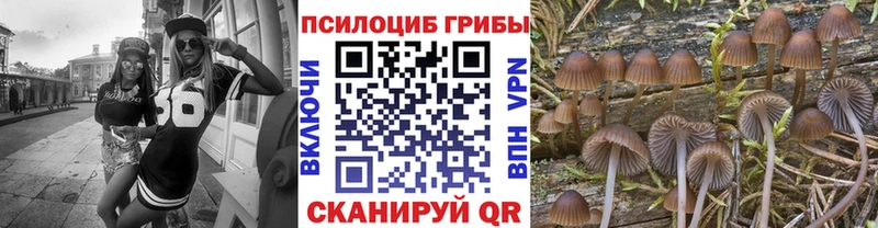 блэк спрут ССЫЛКА  что такое наркотик  Зарайск  Псилоцибиновые грибы Magic Shrooms 